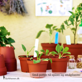 Små potter til at så direkte i eller ompotte spirer, som skal have mere plads - Dyrkhaven.dk gør det nemt at dyrke din have