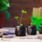 Såbrikker - jiffy pots - er den nemmeste måde at så på. Kan plantes direkte ud i jorden - Dyrkhaven.dk gør det nemt at dyrke din have