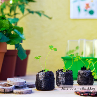 Praktiske såbrikker - jiffy pots - der passer perfekt til vindueskarmens minidrivhus. Den nemmeste måde at så på - Dyrkhaven.dk gør det nemt at dyrke din have