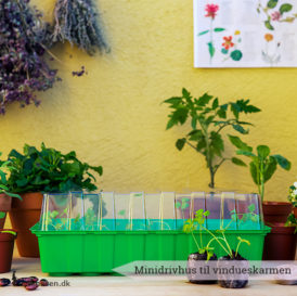 Minidrivhuset giver dine frø og spirer den mest optimale start på livet. Passer perfekt til vindueskarmen - Dyrkhaven.dk gør det nemt at dyrke din have