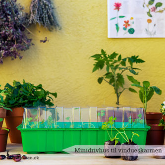 Minidrivhuset giver dine frø og spirer den mest optimale start på livet. Passer perfekt til vindueskarmen - Dyrkhaven.dk gør det nemt at dyrke din have