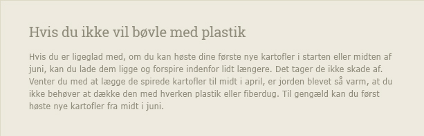 Du kan undgå at skulle bøvle med plastik og fiberdug, hvis du først lægger dine kartofler midt i april - Dyrkhaven.dk