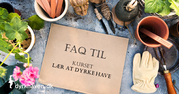 Få svar på de mest almindelige spørgsmål om kurset Lær at dyrke have fra Dyrkhaven.dk