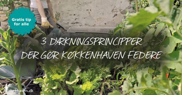 Få inspiration til tre dyrkningsprincipper, som vil give dig en federe køkkenhave - Klub Dyrkhaven gør det nemmere at dyrke din have