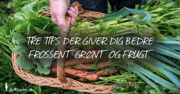 Tips til frysning af og grønt - Dyrkhaven.dk