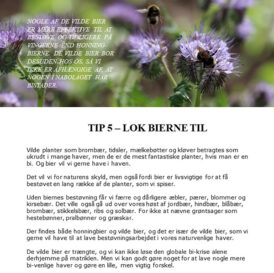 Få 29 tips til at få mere natur i haven i e-bogen fra Dyrkhaven.dk