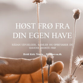 Høst frø fra din egen have - Sådan udvælger, samler og opbevarer du havens bedste frø - E-bog fra Dyrkhaven.dk