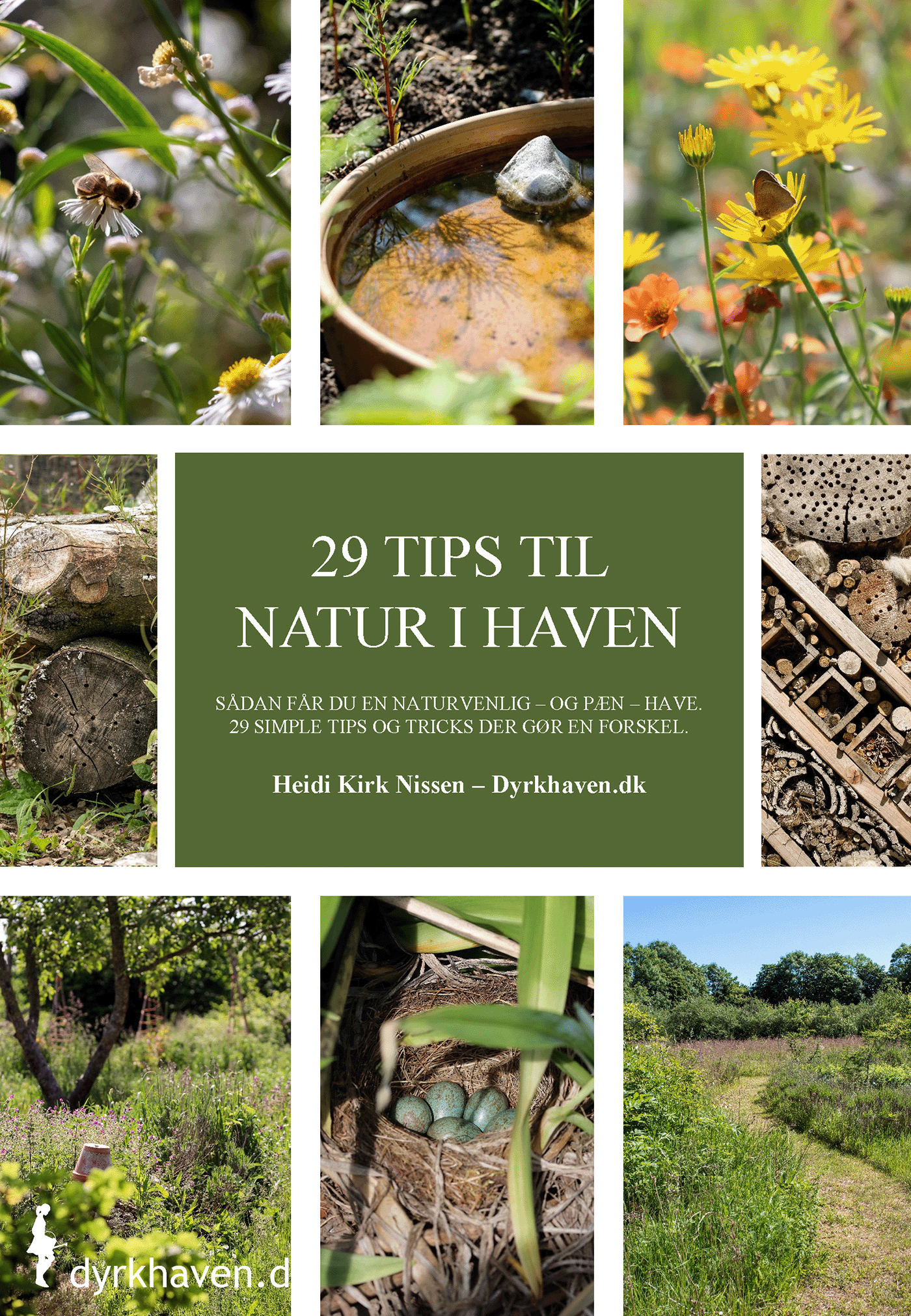 29 tips til natur i haven. Sådan får du flere dyr og mere liv i din have - Dyrkhaven.dk