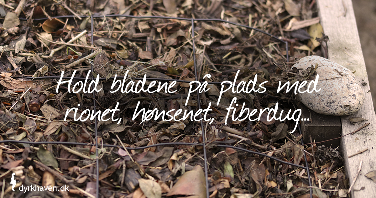 Dæk bar jord i haven med visne blade og hold dem på plads ved at bruge net, rionet, grene, fiberdug o.l. - Dyrkhaven.dk