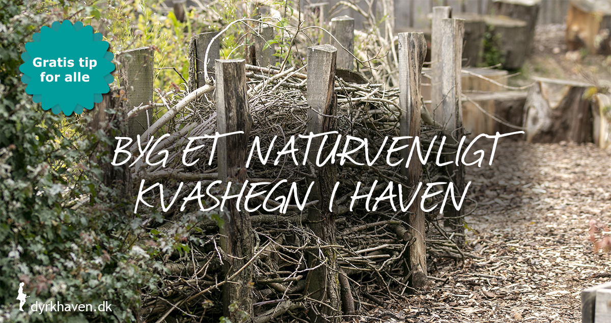 Lav nemt et kvashegn til dyrene i din naturvenlige have - Dyrkhaven.dk