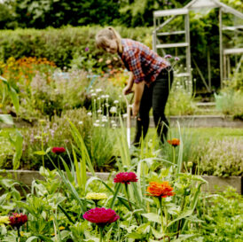 Få haverådgivning og hjælp til din have i en 1:1 hjælp til din have samtale - Dyrkhaven.dk