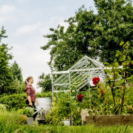 Få haverådgivning og hjælp til din have i en 1:1 hjælp til din have samtale - Dyrkhaven.dk